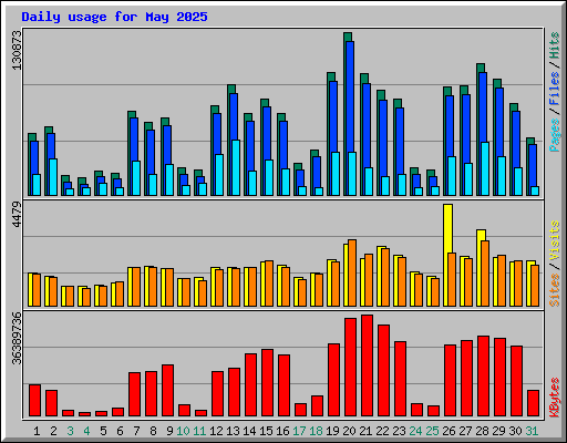 Daily usage for May 2025