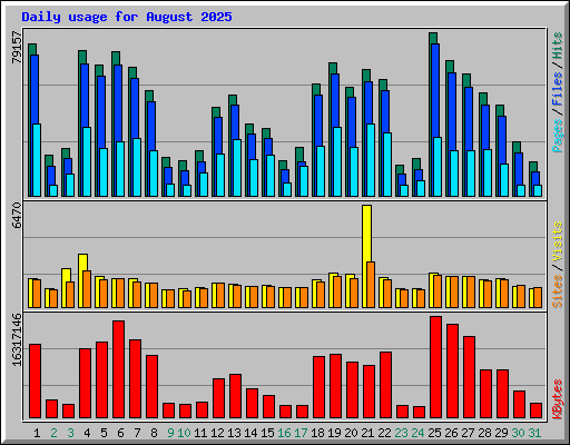 Daily usage for August 2025