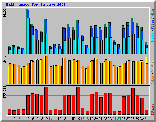 Daily usage for January 2026