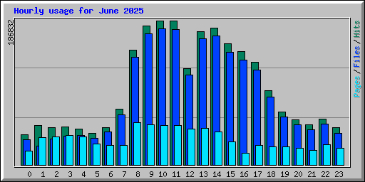 Hourly usage for June 2025