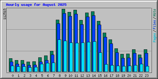 Hourly usage for August 2025