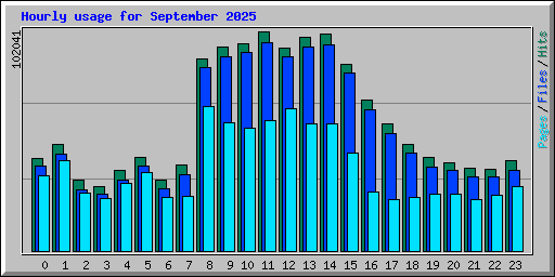 Hourly usage for September 2025