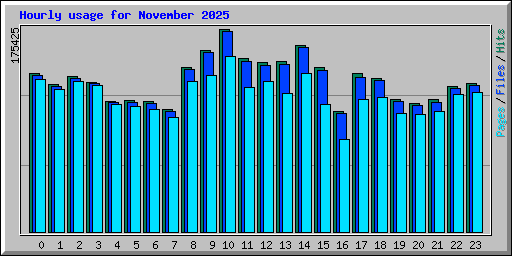 Hourly usage for November 2025