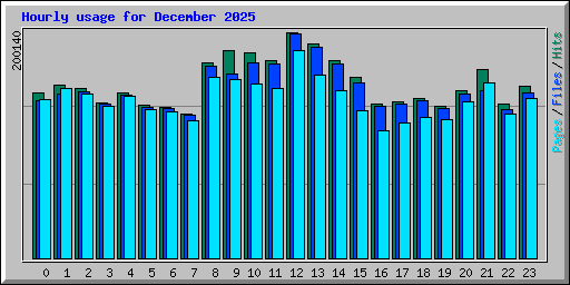 Hourly usage for December 2025