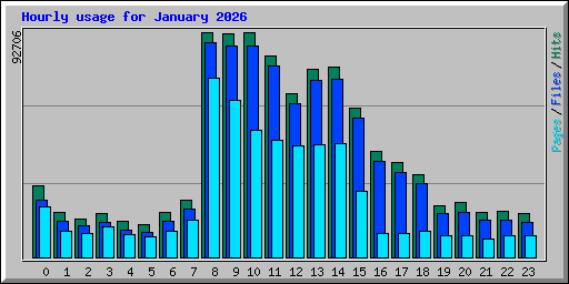 Hourly usage for January 2026