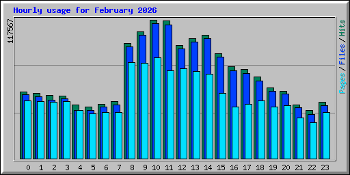 Hourly usage for February 2026